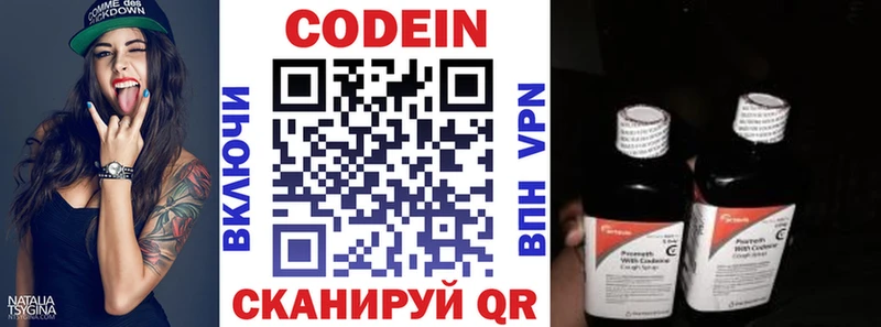 Купить  Петровск-Забайкальский  Кодеиновый сироп Lean напиток Lean (лин) 