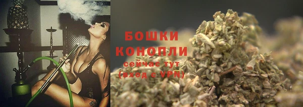 таблы Богородицк