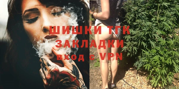 молекула духа Богородск
