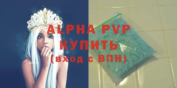 молекула духа Богородск