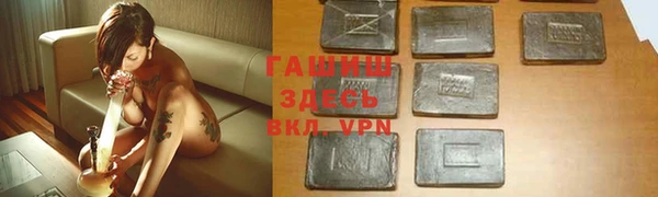 метадон Богданович