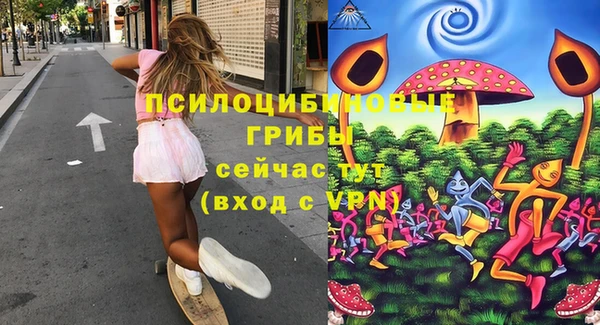 метадон Богданович
