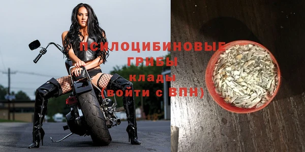таблы Богородицк