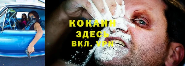 таблы Богородицк