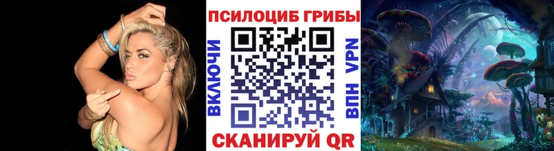 Купить  Петровск-Забайкальский  Псилоцибиновые грибы GOLDEN TEACHER 